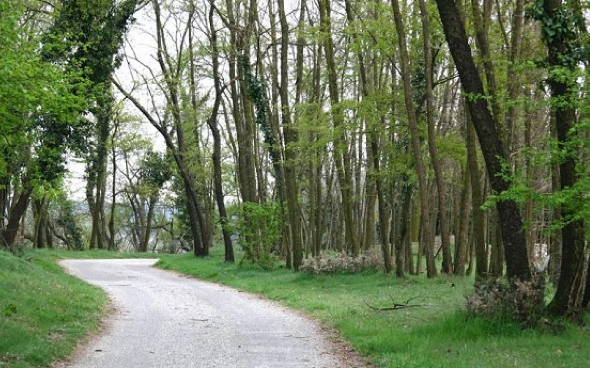 Escursioni a piedi o in bicicletta